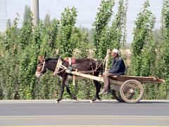 02 The Old Traditional Life Still Exists Man With His Donkey Cart On The Side Of The Road Just After Leaving Kashgar